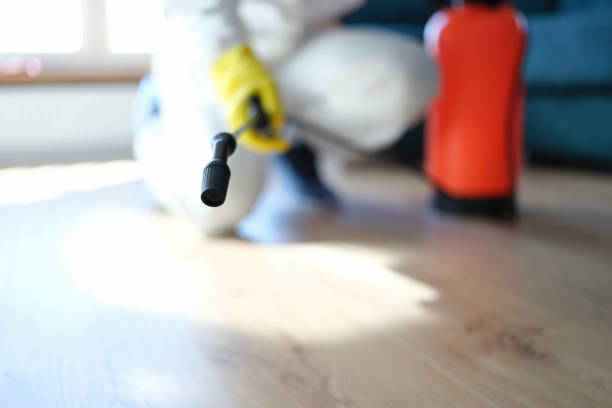 Best Attic Mold Removal  in Heron Bay, GA
