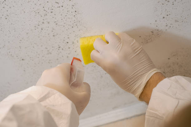 Best HVAC Mold Inspection and Cleaning  in Heron Bay, GA