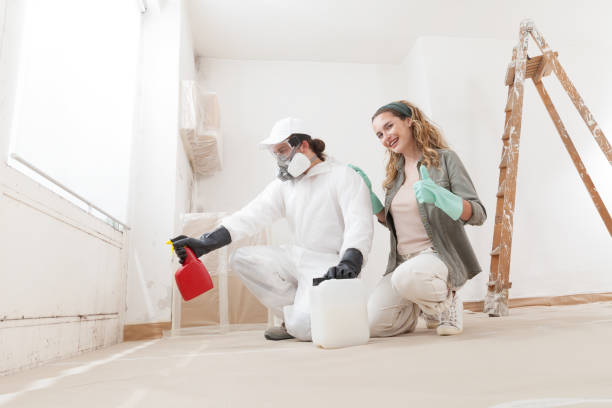 Professional Mold Removal in Heron Bay, GA