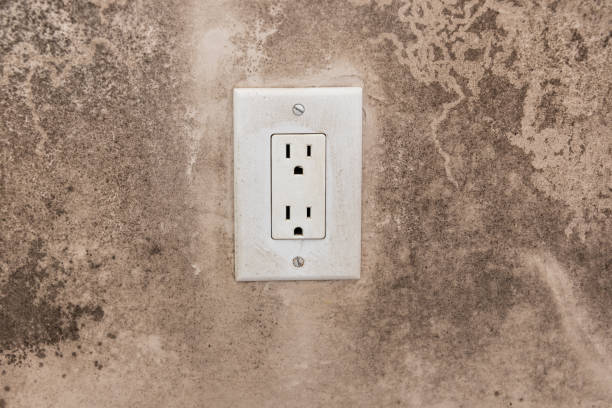 Best Emergency Mold Remediation  in Heron Bay, GA